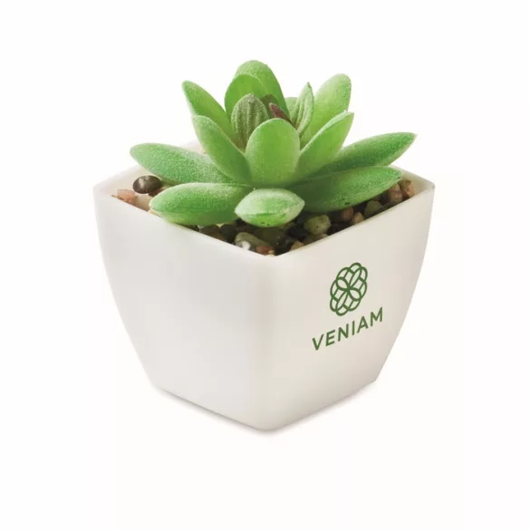MO2854-06-Mini-planta-artificiala-ARTIGRAP