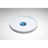 MO2863-06-SEAQUAL-frisbee-SIDNEY-SEA