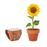 MO6147-40-Vas-floarea-soarelui-SUNFLOWER