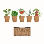 MO6499-13-Kit-crestere-salata-SALAD