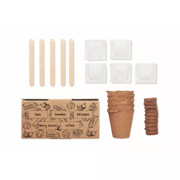 MO6499-13-Kit-crestere-salata-SALAD