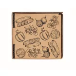 MO6499-13-Kit-crestere-salata-SALAD