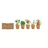 MO6499-13-Kit-crestere-salata-SALAD