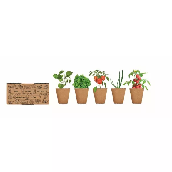 MO6499-13-Kit-crestere-salata-SALAD