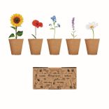 MO6500-13-Kit-de-crestere-a-florilor-FLOWERS