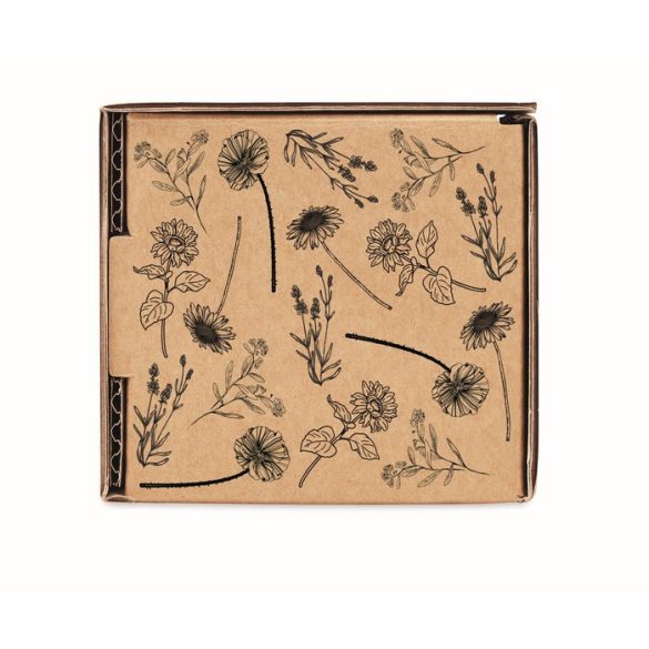 MO6500-13-Kit-de-crestere-a-florilor-FLOWERS