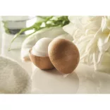 MO6753-40-Balsam-de-buze-carcasa-bambus-SOFT-LUX