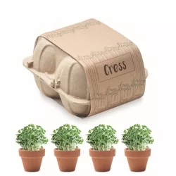 MO6886-13-Seminte-in-carton-de-oua-CRESS