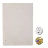 MO6914-06 - Foaie A4 cu seminte - ASIDI