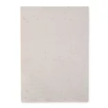 MO6914-06 - Foaie A4 cu seminte - ASIDI