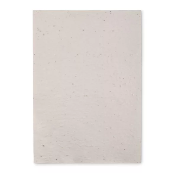 MO6914-06 - Foaie A4 cu seminte - ASIDI