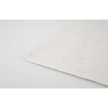 MO6914-06 - Foaie A4 cu seminte - ASIDI
