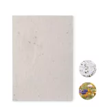 MO6915-06 - Foaie A5 cu seminte - ASIDE