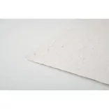 MO6915-06 - Foaie A5 cu seminte - ASIDE
