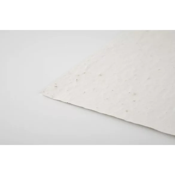 MO6915-06 - Foaie A5 cu seminte - ASIDE