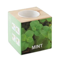 mo9337-40-ghiveci-lemn-menta