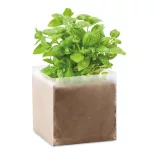MO9545-13-Compost-cu-seminte-BASIL-BASIL