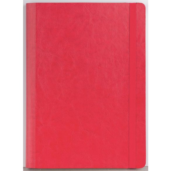 NB11_IDEA_EGO-Agenda-nedatata-IDEA-17-x-24-cm