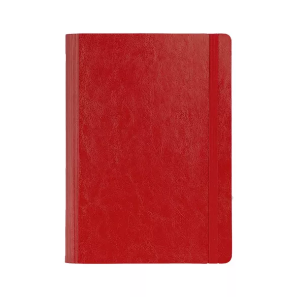 NB11_IDEA_EGO-Agenda-nedatata-IDEA-17-x-24-cm