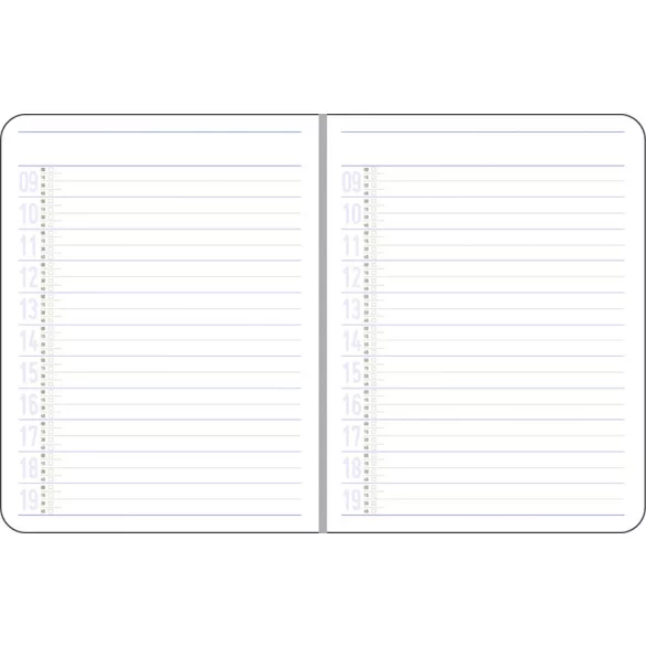 NB11_TEHNO_EGO-Agenda-nedatata-TEHNO-16-x-21-cm