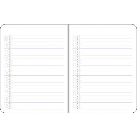 NB6_TEHNO_EGO-Agenda-nedatata-TEHNO-16-x-21-cm