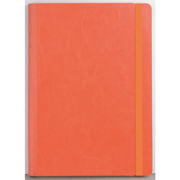 NB7_IDEA_EGO-Agenda-nedatata-IDEA-17-x-24-cm