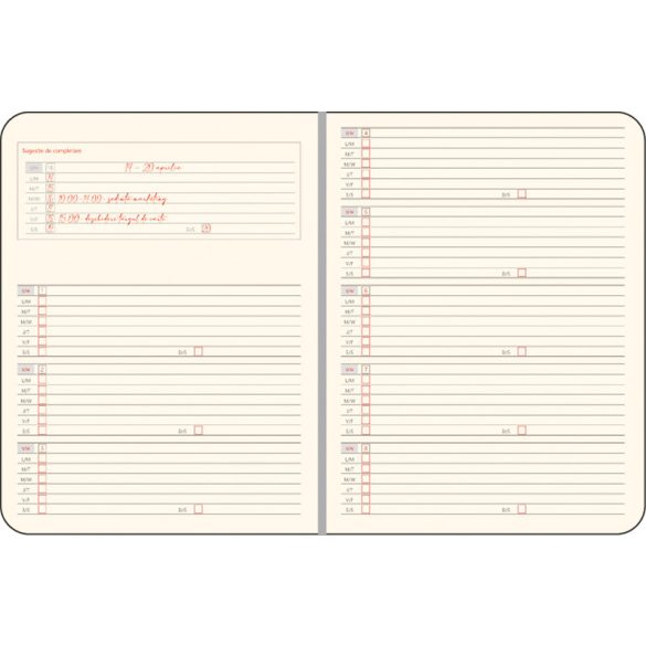 NB-11-EGO-Agenda-nedatata-ARIZONA-Visiniu-16x21-cm