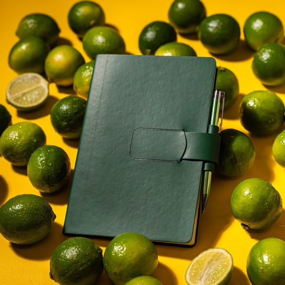 Agenda-Ravelo-nedatata-A5-verde