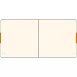 P-QF-DR11-Quatro-Flex_EGO-Agenda-nedatata-QUATRO-FLEX-20x20-cm