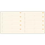 P-QF-DR11-Quatro-Flex_EGO-Agenda-nedatata-QUATRO-FLEX-20x20-cm