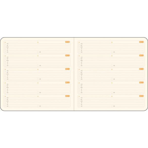 P-QF-DR7-Quatro-Flex_EGO-Agenda-nedatata-QUATRO-FLEX-20x20-cm