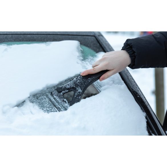 P239001-Racleta-Polard