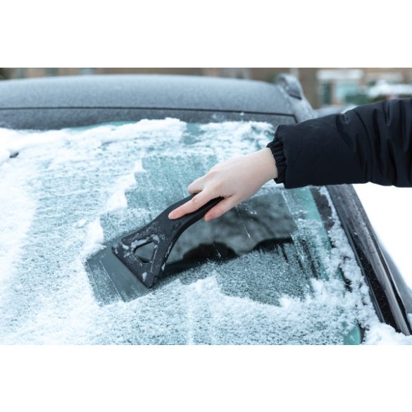 P239001-Racleta-Polard