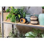 P328009---Boxa---Bamboo-X