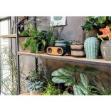 P328119---Boxa-wireless---Bamboo-X