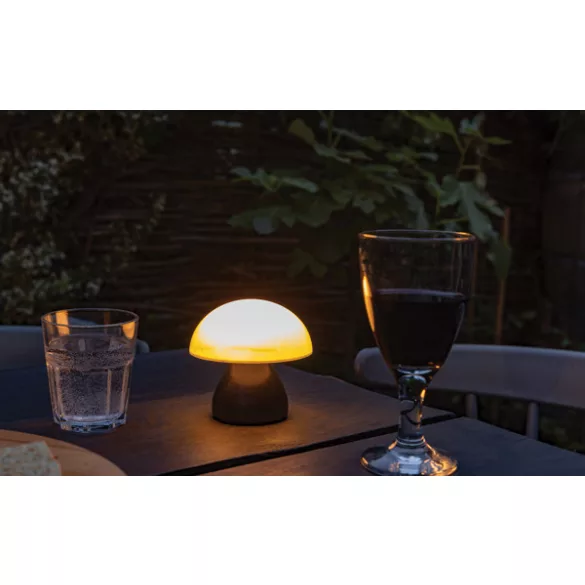 P513741-Lampa-Luming