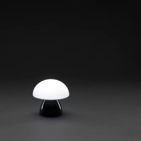 P513741-Lampa-Luming