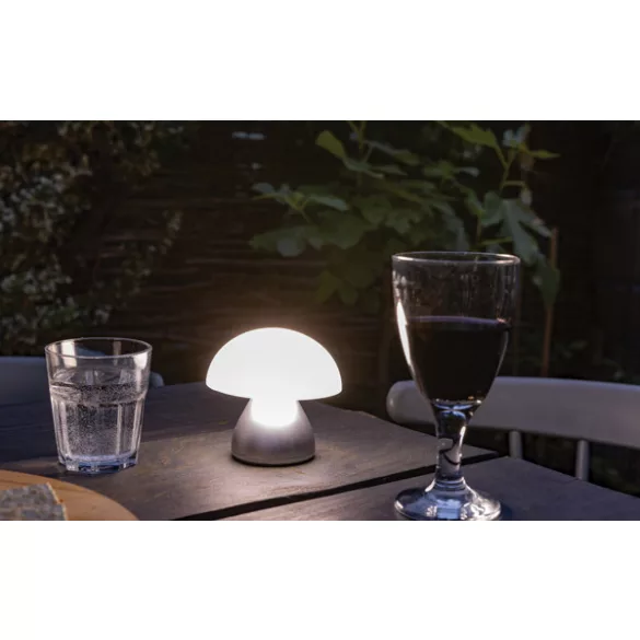 P513742-Lampa-Luming