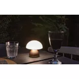 P513749-Lampa-Luming