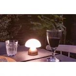 P513749-Lampa-Luming