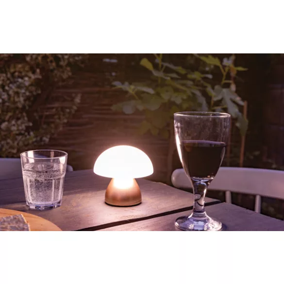 P513749-Lampa-Luming
