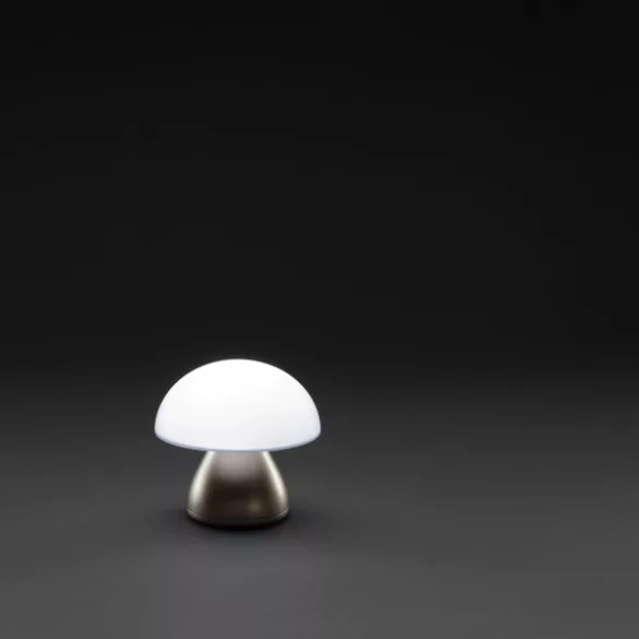 P513749-Lampa-Luming