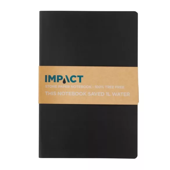 P774211-Notes-A5-Impact