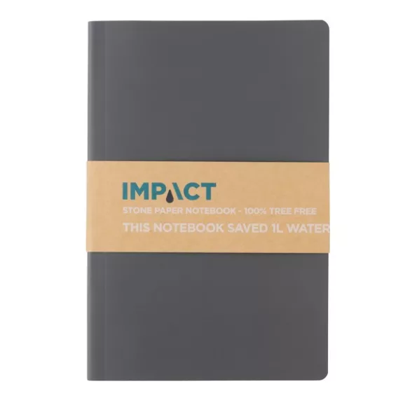 P774212-Notes-A5-Impact