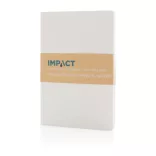 P774213-Notes-A5-Impact