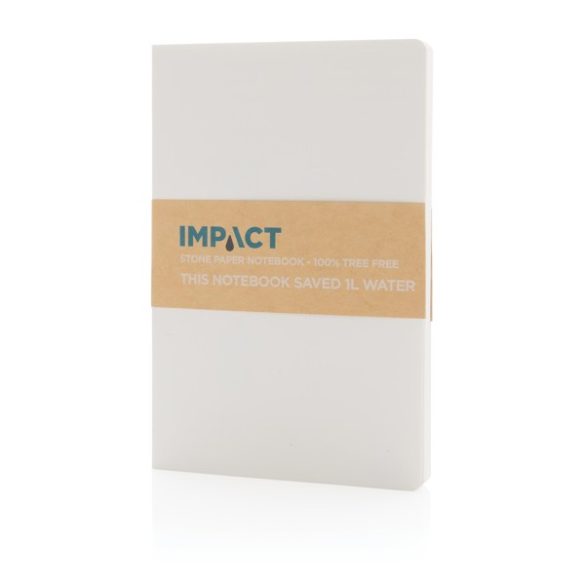 P774213-Notes-A5-Impact