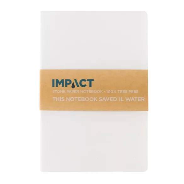 P774213-Notes-A5-Impact