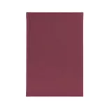 PI-11-IDEAL-EGO-Agenda-nedatata-IDEAL-Visiniu-16x24-cm