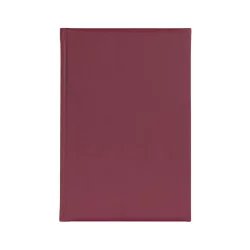 PI-11-IDEAL-EGO-Agenda-nedatata-IDEAL-Visiniu-16x24-cm