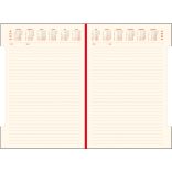 PI-11-IDEAL-EGO-Agenda-nedatata-IDEAL-Visiniu-16x24-cm